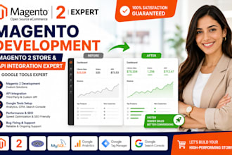 do magento development magento 2 store API integration expert google tools
