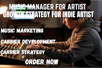 be your music manager and create a custom artist growth strategy