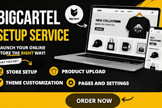 create a stunning big cartel store design and website setup