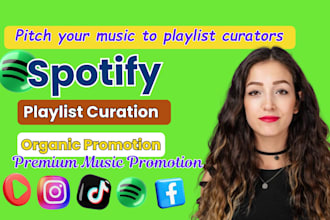 pitch create custom music playlists for music curator in any genre and platforms