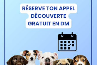 audit et stratégie review