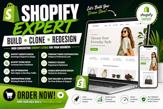 build clone design redesign shopify website SEO dropshipping store