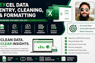 perform excel data cleaning, formatting and organizing