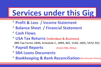 prepare profit and loss, balance sheet, US tax return, 1040, schedule c