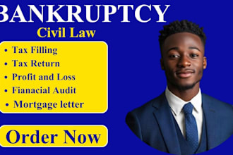 prepare chapter 7, 11 and 13 bankruptcy court document, petitions and affidavits