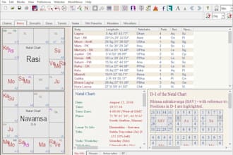 do expert vedic astrology and gemstone consultation with a detailed PDF