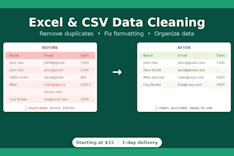 clean and organize your excel or CSV data