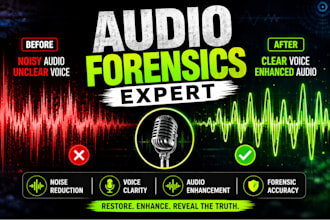 do professional audio forensics, enhancement, noise reduction and voice analysis