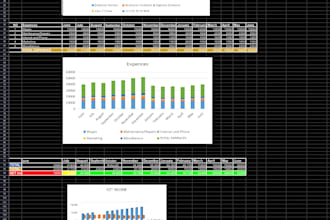 do data entry and create excel budget and financial tracker