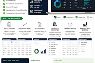 build finance dashboards, KPI reports, and management packs in excel