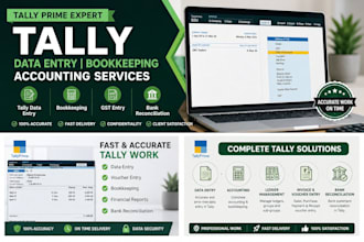 do tally data entry bookkeeping and accounting work