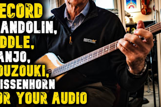 record pro mandolin, fiddle, banjo, bouzouki, and weissenborn for your track