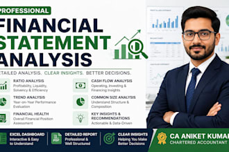 provide detailed financial analysis for investors and businesses