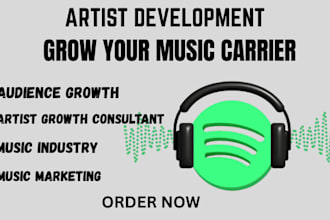 artist development audience growth consultant for independent artists