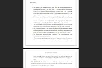 draft legally sound rental, lease, or franchise agreements