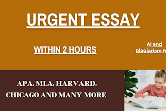 write urgent essay, summary, report, and case study