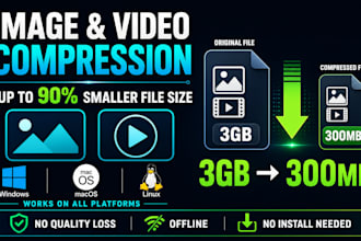 provide lifetime image and video compressor desktop app for windows