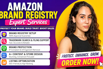 do amazon brand registry, a plus content and IP protection