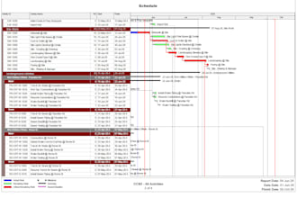 create polished custom schedule reports
