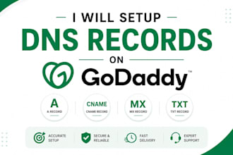 setup dns records and business emails on godaddy professionally