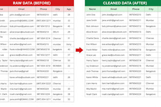do excel data formatting and data cleaning
