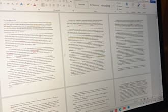 provide a professional manuscript critique and beta reading