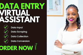 be your accurate and efficient data entry specialist