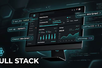 develop a professional website or web application