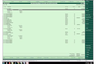 do accurate data entry, tally erp 9, virtual assistant task