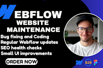 maintain and update your webflow website for performance, fixes and improvements