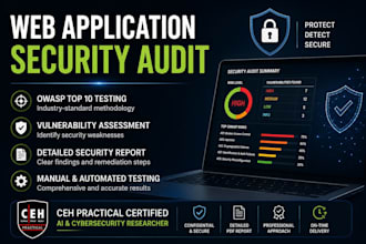 web application security audit