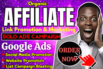 do affiliate link promotion, solo ads campaign, google ads, website marketing