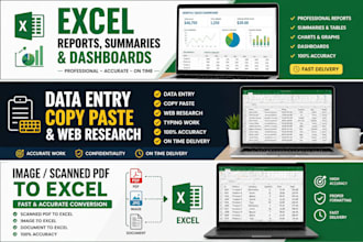 create professional excel reports, summaries and dashboards