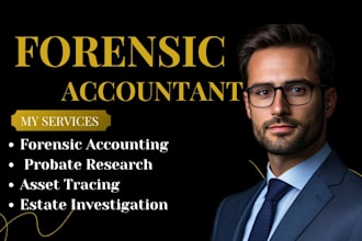 perform forensic accounting probate research asset tracing hidden asset audit
