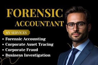 perform forensic accounting corporate asset tracing business investigation fraud