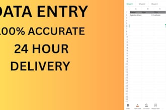 do manual data entry and excel work