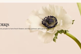 build florist website flower shopify store indoor plant website home decoration