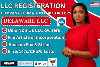 do delaware llc registration company formation for startups
