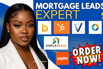 integrate bntouch velocify hubspot zapier mortgage leads encompass simplenexus
