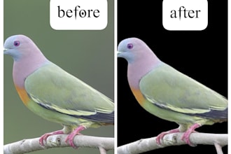remove background from any image in 2 hours