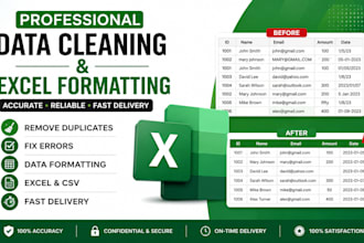 expert data cleaning formatting and deduplication