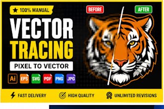convert sketch, drawing or artwork into vector