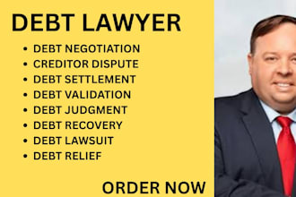 handle debt settlement, debt relief, creditor disputes, and debt enforcement