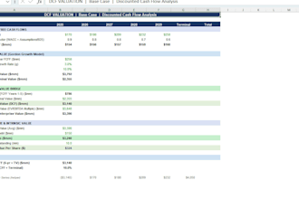 build a professional 3 statement financial model