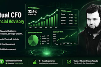 be your virtual cfo and provide financial advisory for your small business