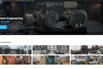 custom wordpress website expert