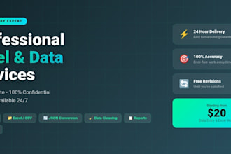 do data entry, excel, CSV and json conversion work