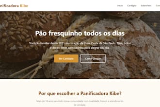 build a professional website