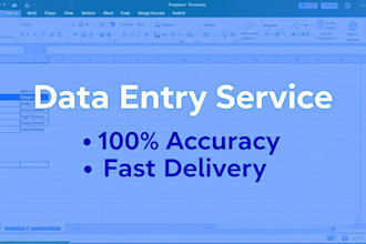 be your excel and google sheets data entry expert