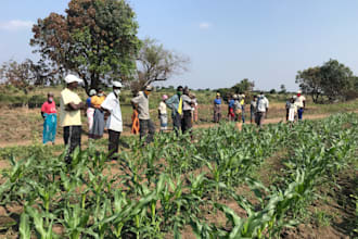 provide expert agricultural consulting to maximize your farms profitability